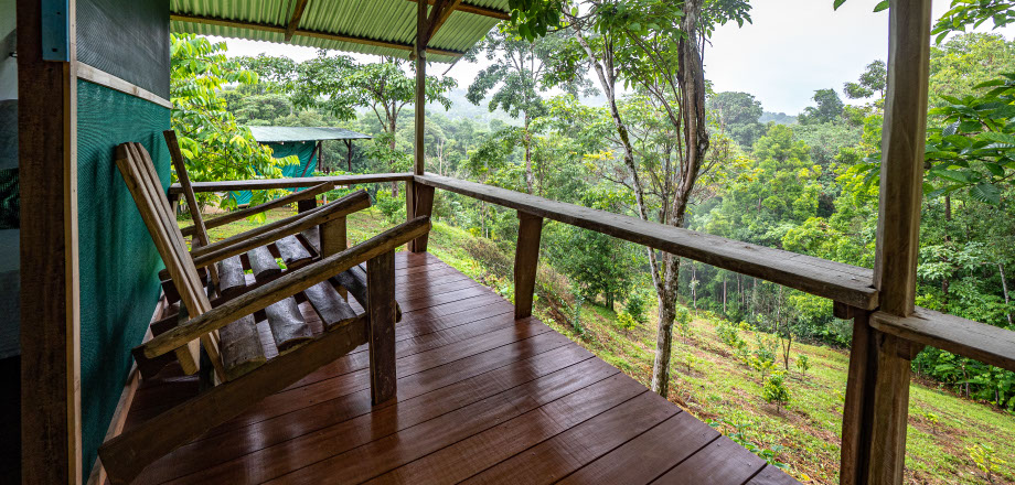 The jungle surrounds a sign pointing eco-tourists to the Ecoturístico La Tarde, Osa Peninsula, Costa Rica.