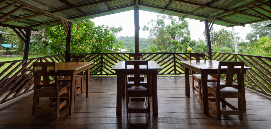 The jungle surrounds a sign pointing eco-tourists to the Ecoturístico La Tarde, Osa Peninsula, Costa Rica.