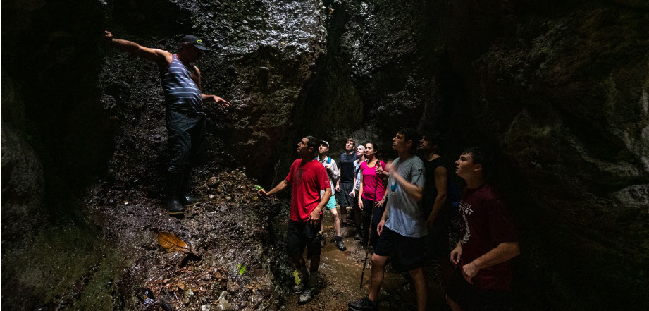 Two scarlet macaws preen themselves in the rainforest canopy, Osa Peninsula, Costa Rica.
