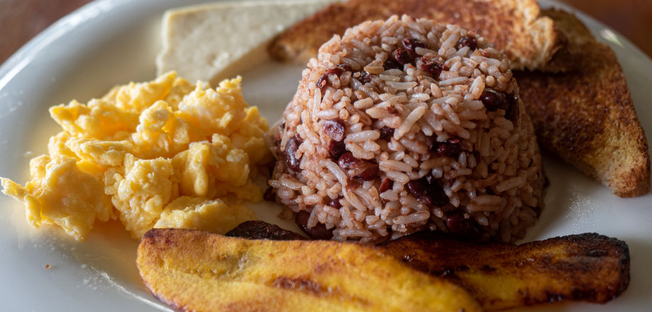 Two scarlet macaws preen themselves in the rainforest canopy, Osa Peninsula, Costa Rica.