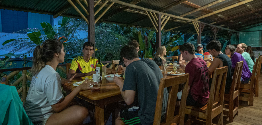 Two scarlet macaws preen themselves in the rainforest canopy, Osa Peninsula, Costa Rica.