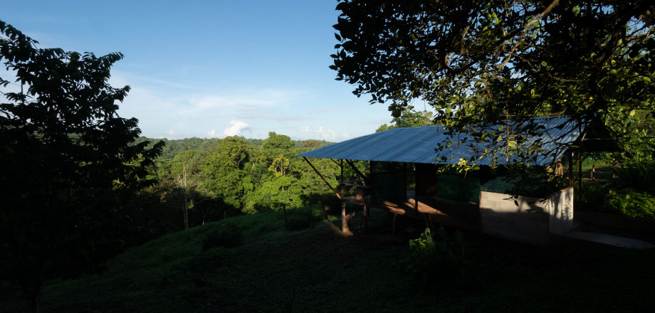 The jungle surrounds a sign pointing eco-tourists to the Ecoturístico La Tarde, Osa Peninsula, Costa Rica.